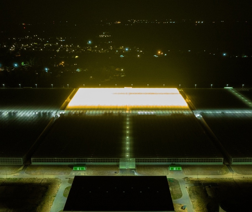 ЧП на борских теплицах