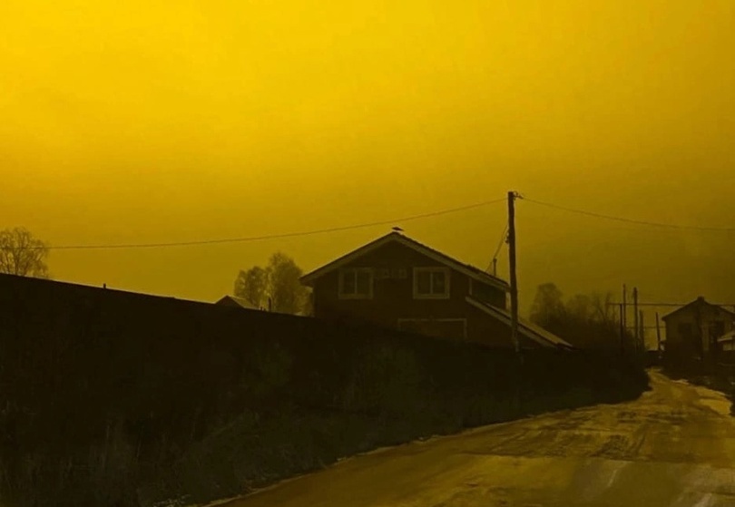 Новый иск подали на скандальные борские теплицы