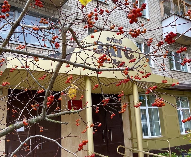 Борчане смогут забронировать красивую дату свадьбы на портале госуслуг