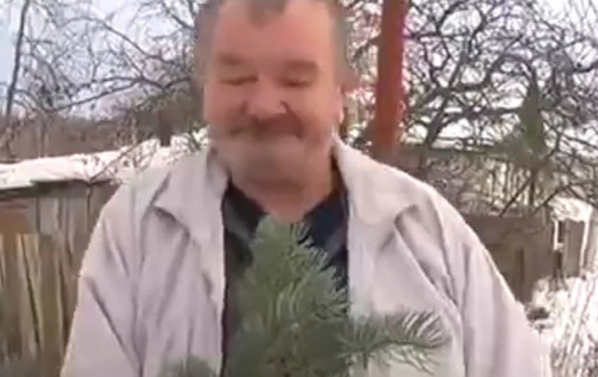 Срубленные борскими чиновниками елки заинтересовали нижегородскую прокуратуру