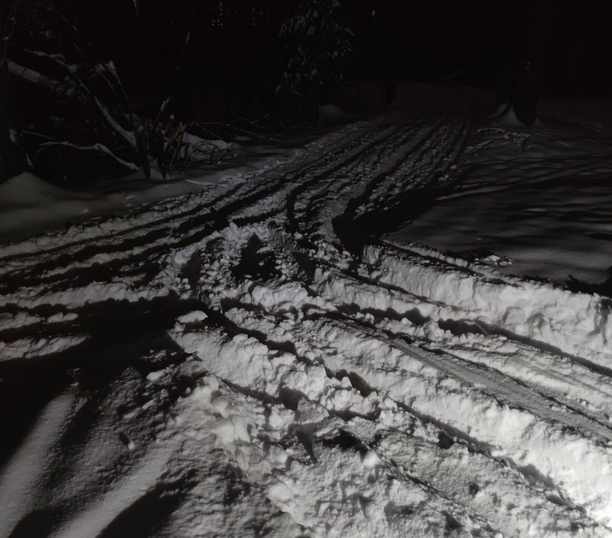 Негодование лыжников на Моховых