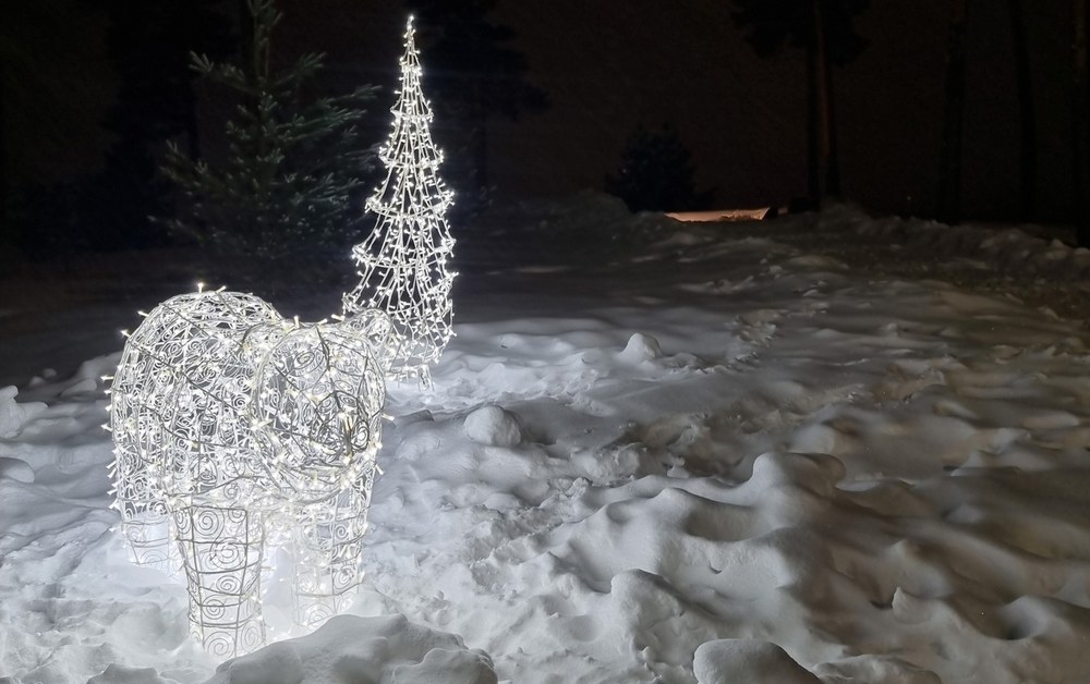 Моховые принарядили к праздникам