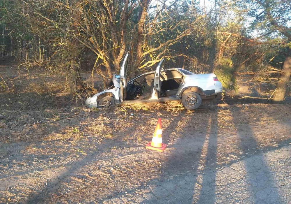 По вине пьяных водителей пострадало несколько человек на Бору