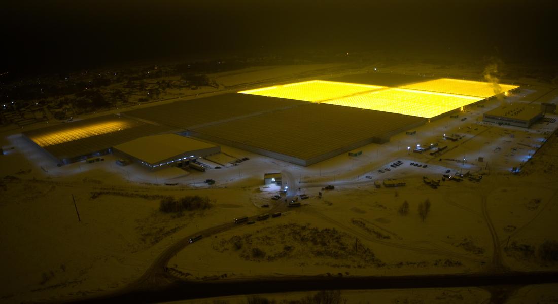 Загадочные полёты птиц над борскими теплицами