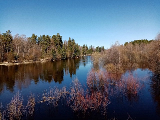 Керженскому заповеднику – 29 лет!