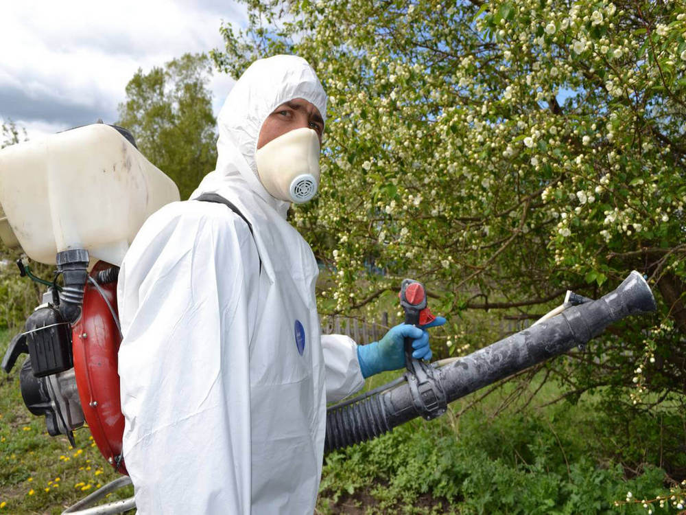 Осторожно, Бор, клещи атакуют