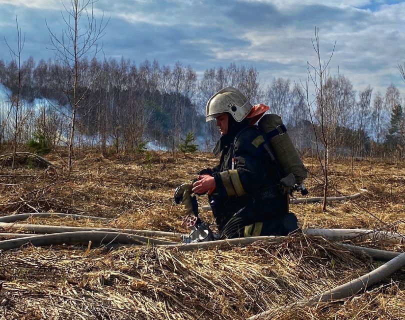Борчан будут штрафовать за незаконное разведение огня