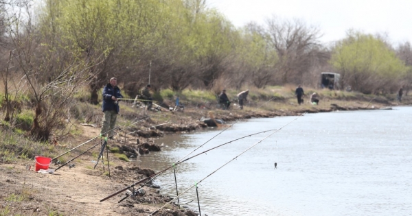 В Нижегородской области введены ограничения на рыбную ловлю