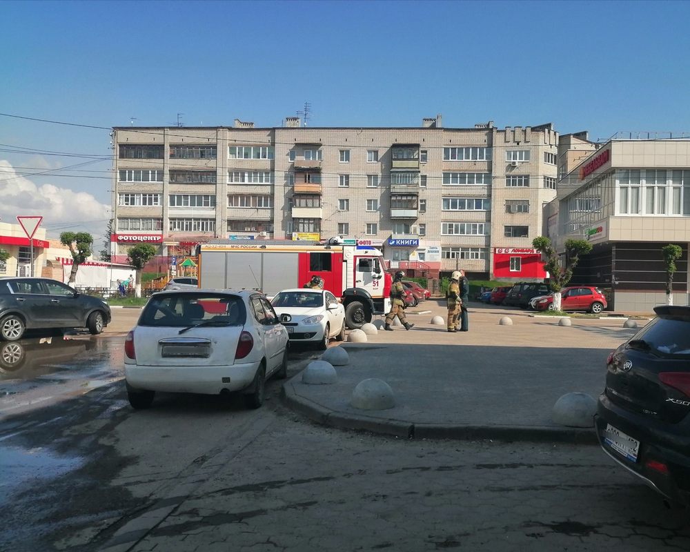 Жители Бора более 1000 раз звонили в экстренную службу