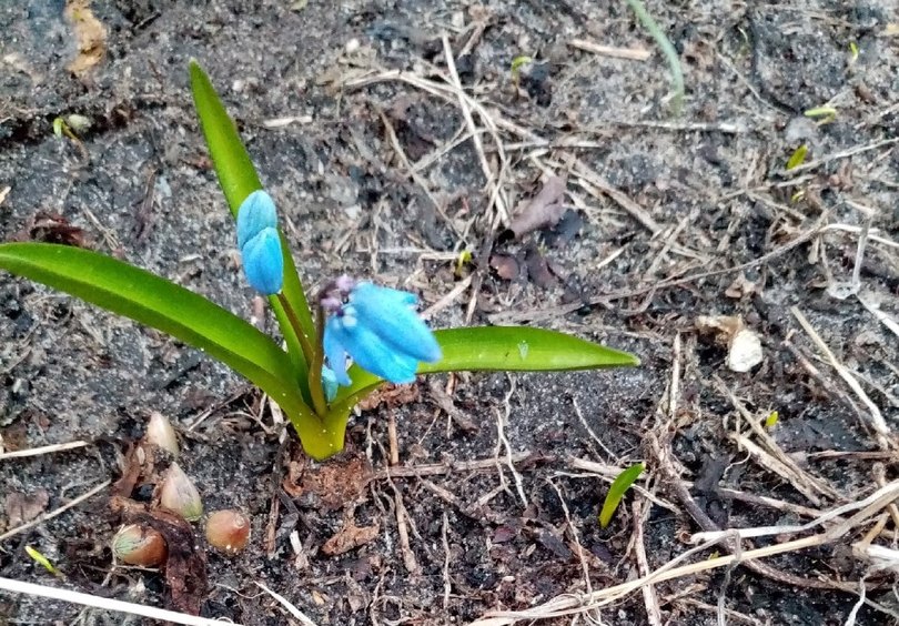 Долгожданное тепло приходит на Бор