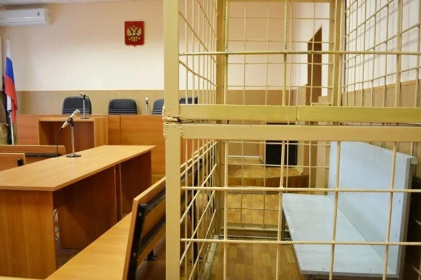 Жестокого человека осудили на Бору