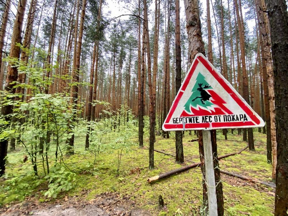 Шашлыки под запретом? На Бору введен особый противопожарный режим