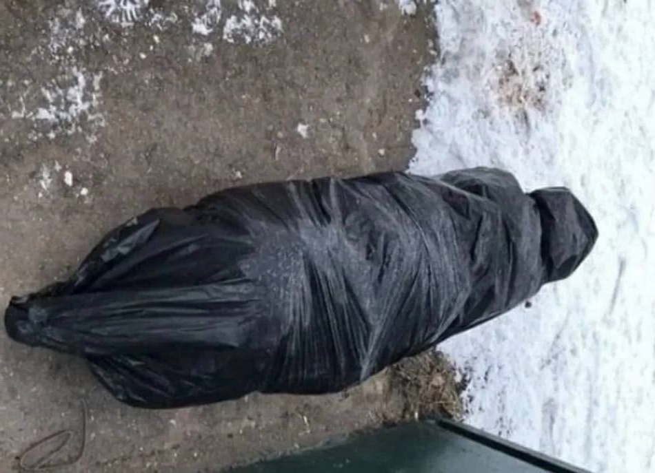 Борчане, утилизируйте ёлки правильно