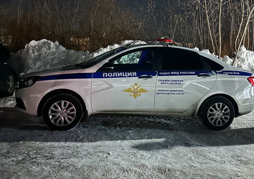 На уловки мошенников попалась юная борчанка