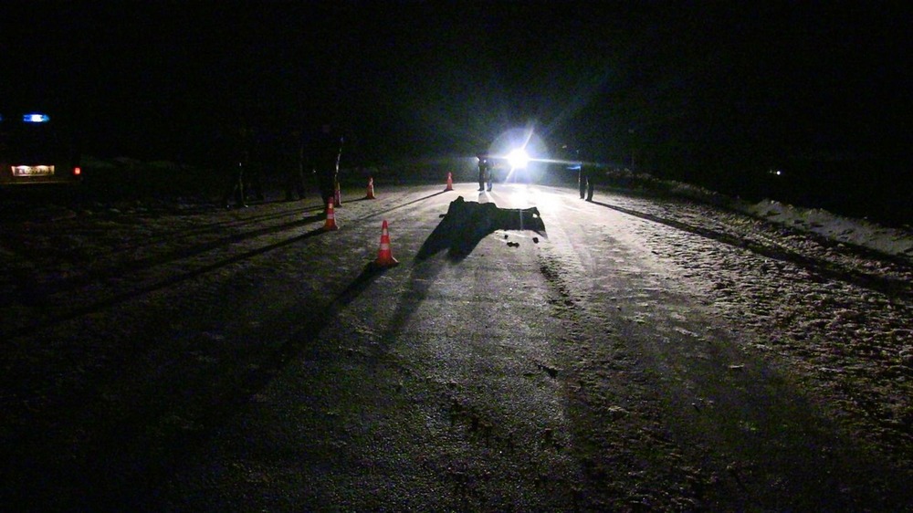 Страшная смерть на борской дороге