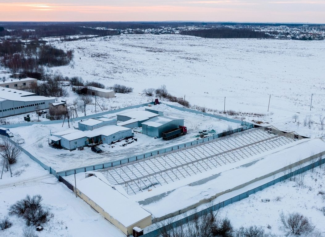 Что известно про новые борские теплицы