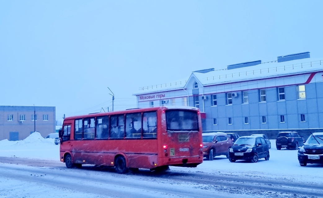 Кусачий на Бору не только мороз