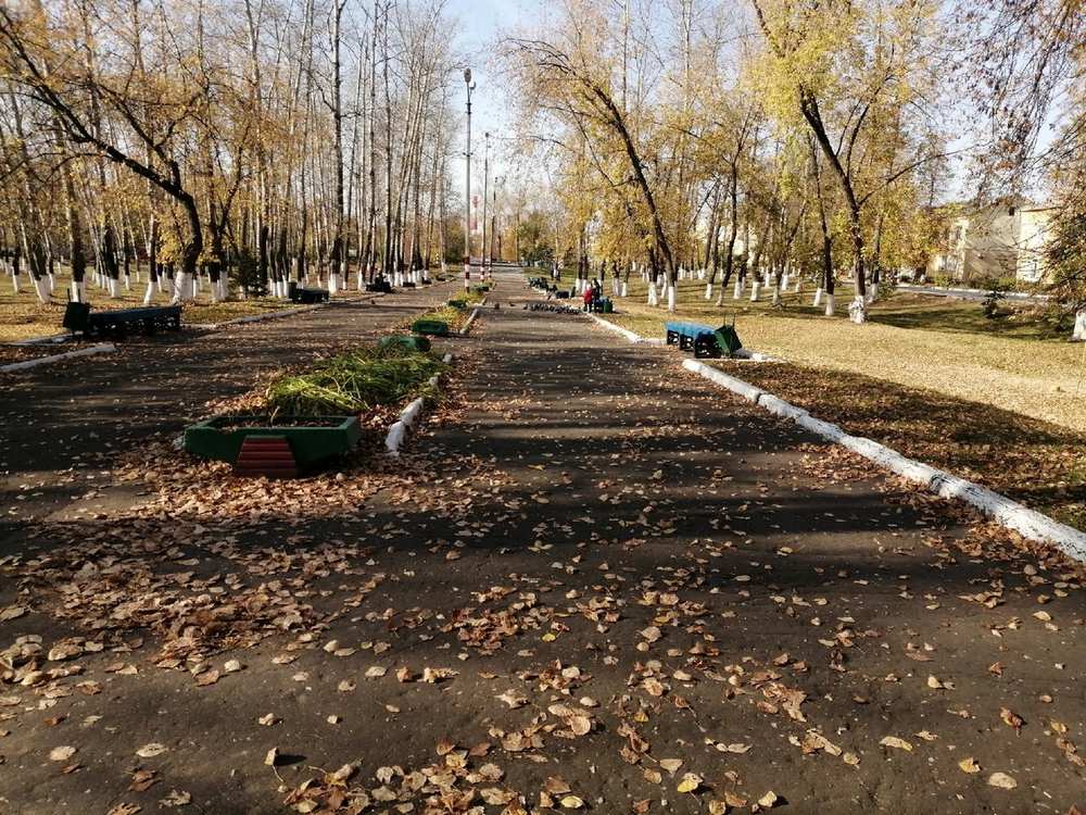 Что хотят жители на аллее ветеранов на Стекольном