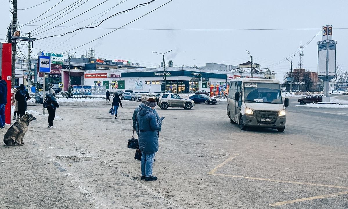 Бор подмораживает в ожидании весны