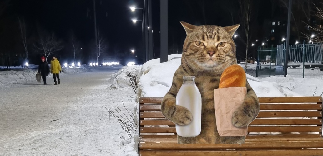 Как будут звать борского кота?