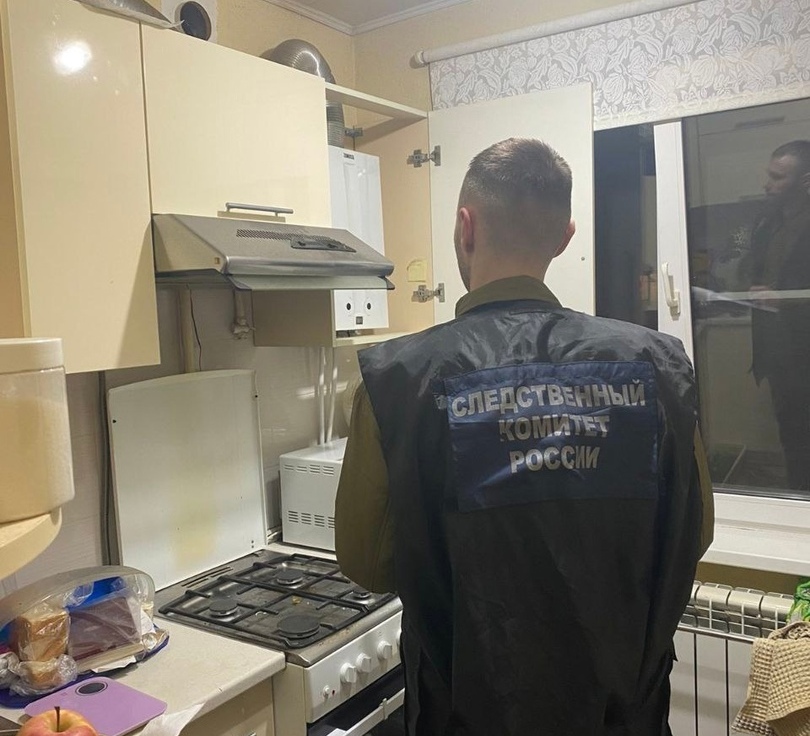 Следственный комитет начал проверку по факту отравления борской семьи угарным газом