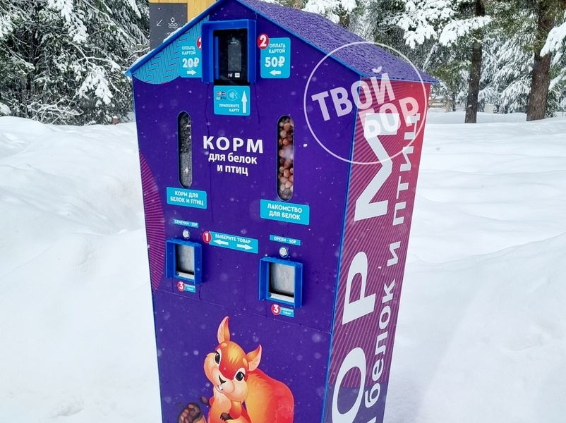 Борским белкам понравится