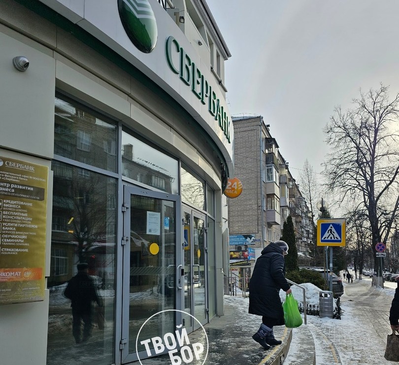 Борчан предупредили о новом виде мошенничества