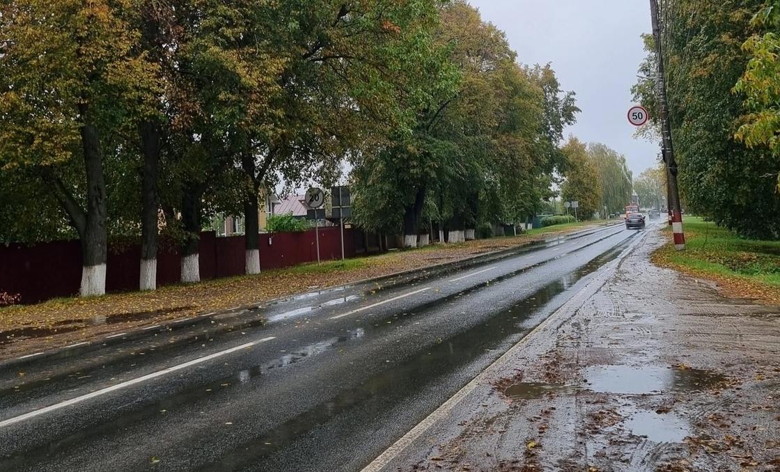 Борчане сообщили о штрафах за непристегнутый ремень