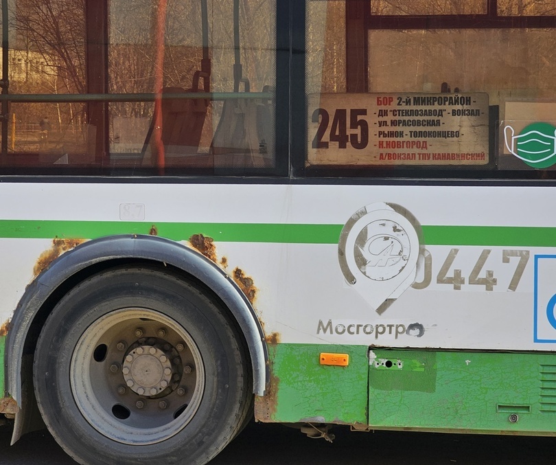 Работа автобусов БорПАП в предстоящие праздники