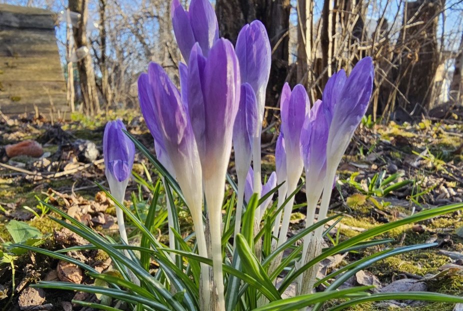 К Пасхе похолодает на Бору