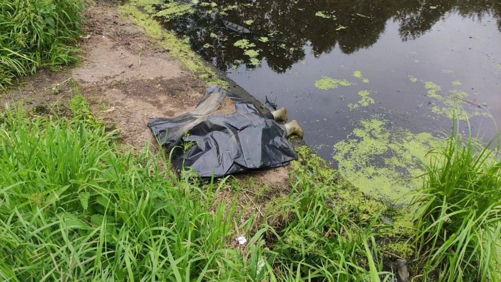 Страшные борские цифры прошлого лета