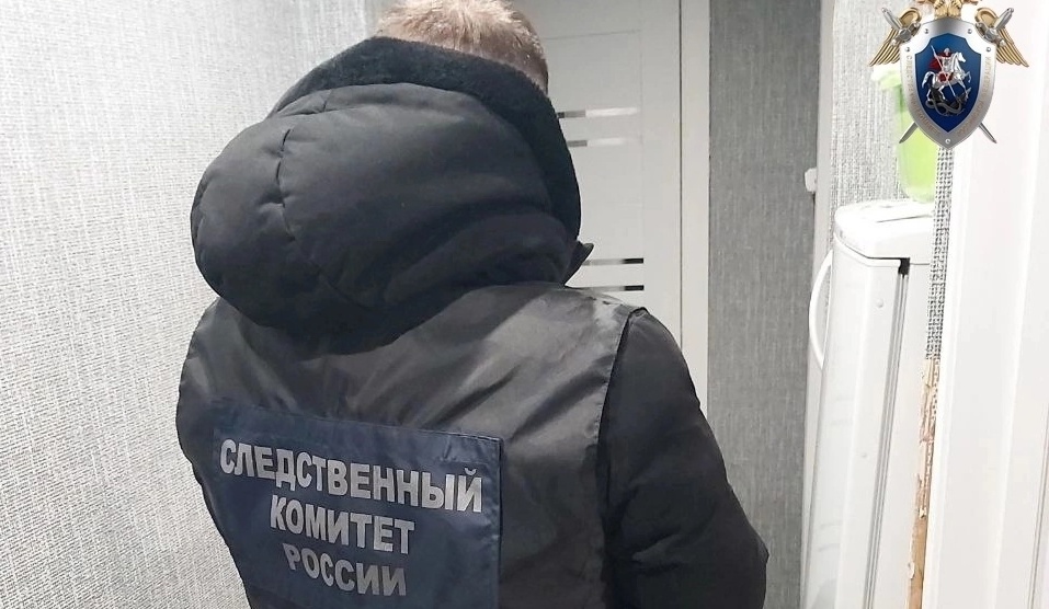 На Бору будут судить женщину, убившую мужа