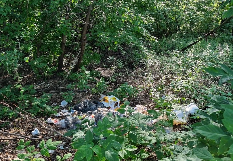 На Бору будут ликвидировать несанкционированные свалки