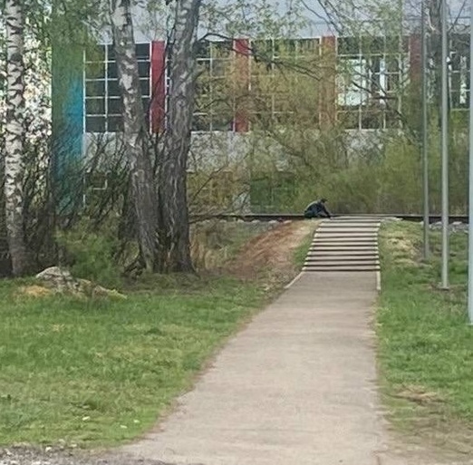 Закладчик высматривает дозу в Боталово-2