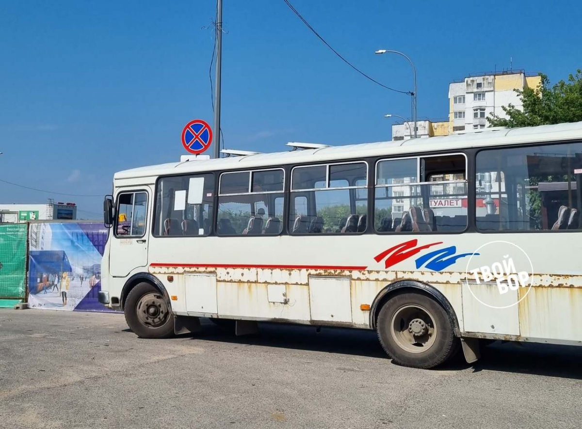 В автобусе борчанке зажало руки
