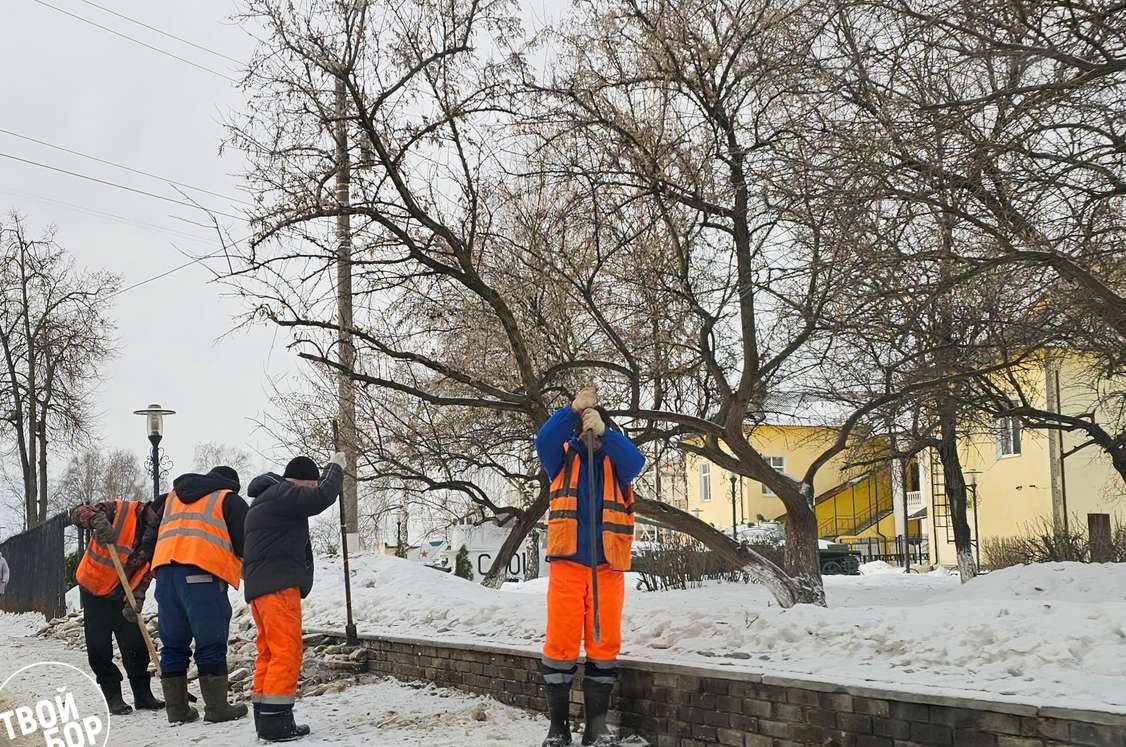 Где самые большие зарплаты на Бору? — новости города Бор