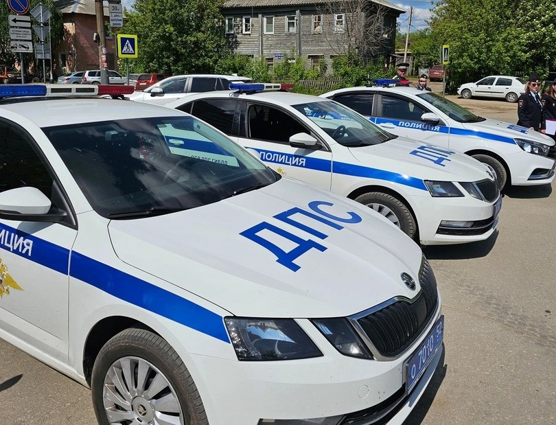 Кого будут ловить на Бору в выходные?