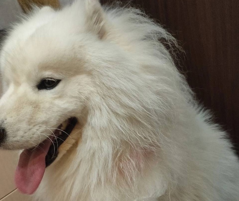 Страшные истории из Неклюдово