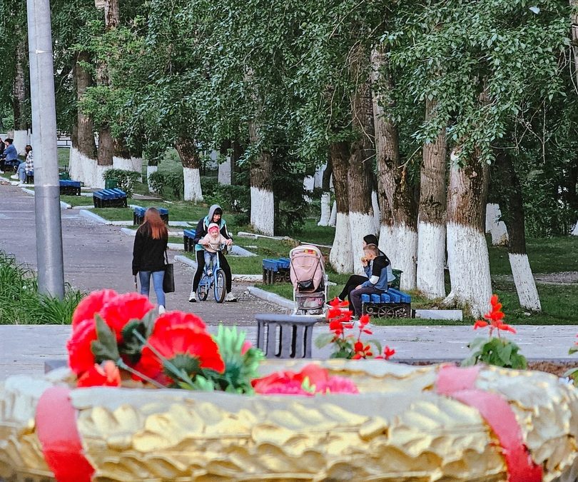 Стало известно, какой борский проект победил в Большом голосовании