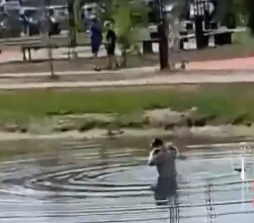 Слабоумие и отвага на Бору