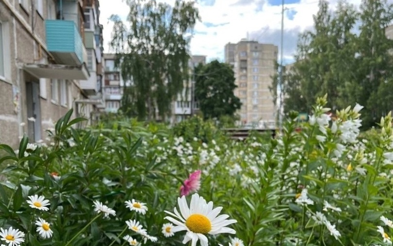 На Бору пройдет смотр-конкурс на самые благоустроенные