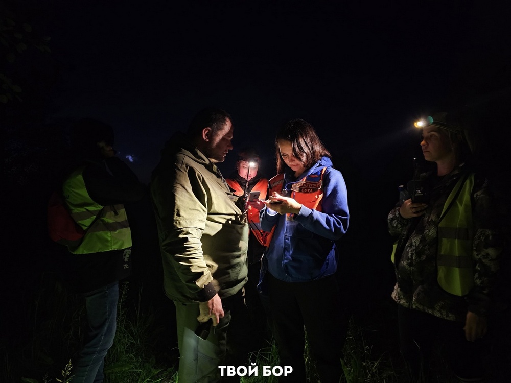 Двое мужчин потерялись в борском лесу