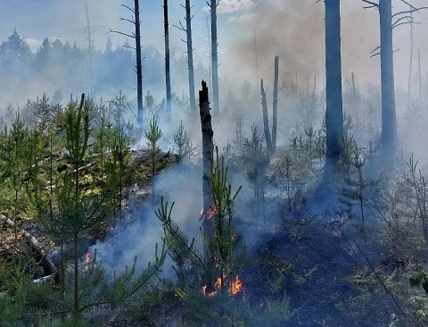 ️«Керженский» заповедник полностью потушили