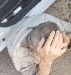 Драма на борской дороге