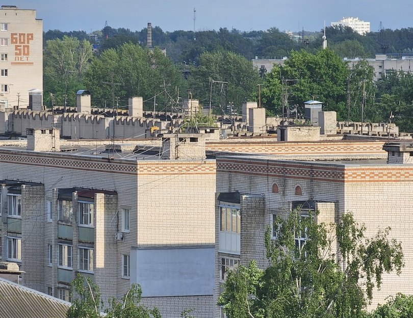 Что делать, если снял на Бору квартиру с тараканами?