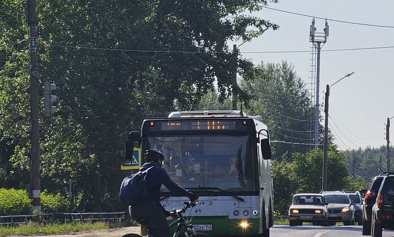 Страшные цифры пяти месяцев на борских дорогах