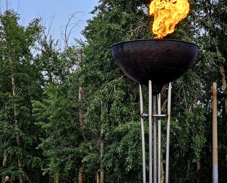 Жители Бора и особенно Стеклозаводцы!