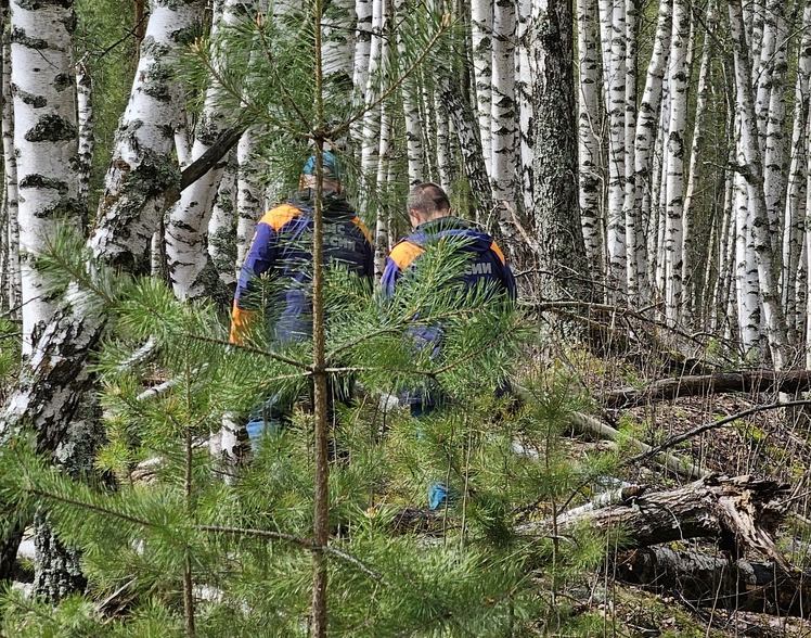 Всем, кто собирается в борский лес, обязательно к прочтению