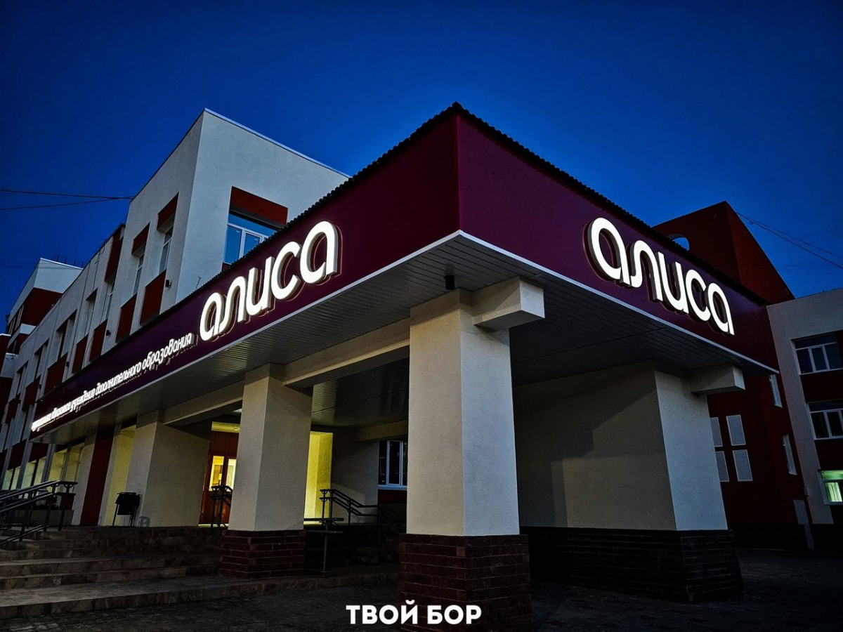 Обновлённая "Алиса" радует борчан