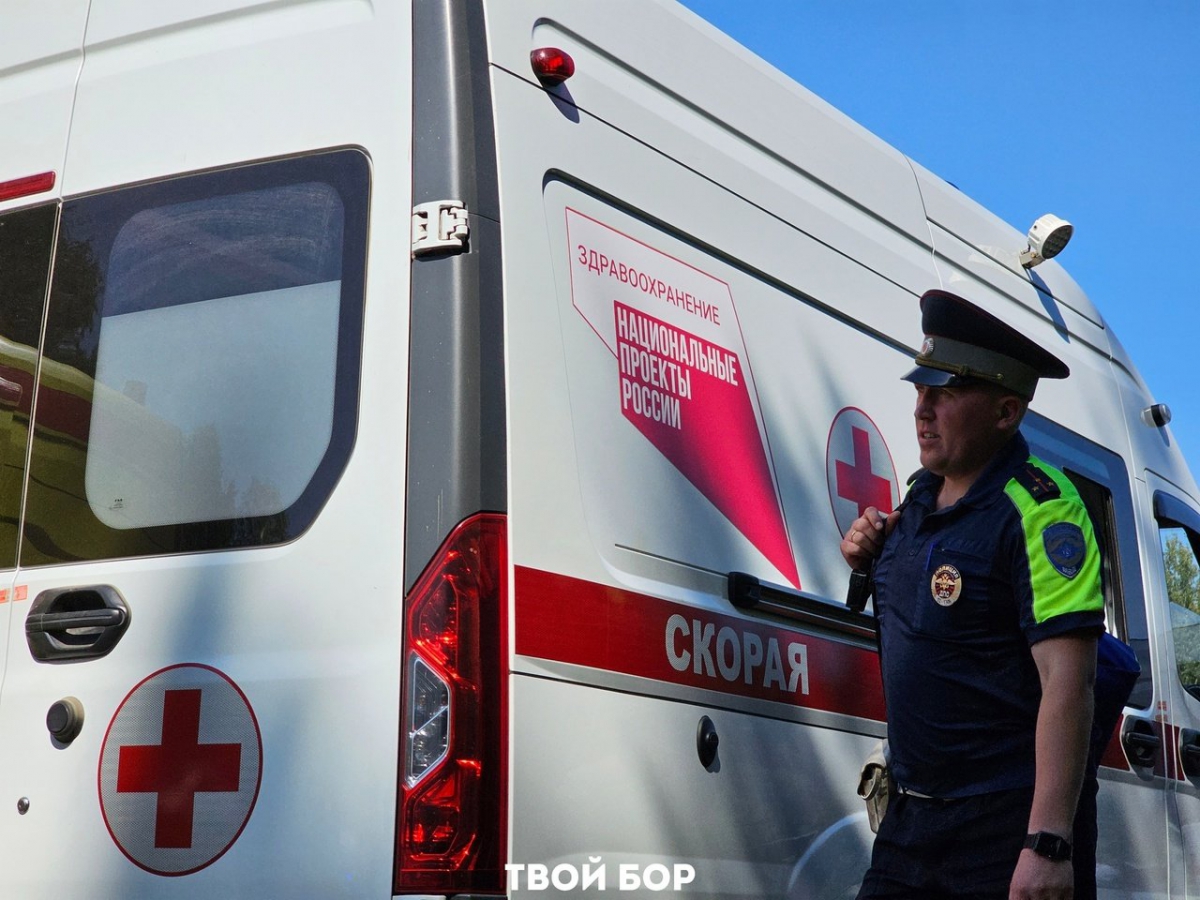 На Бору водитель с фейковыми номерами "уронил" борчан